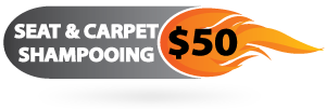 carpet shampoo price